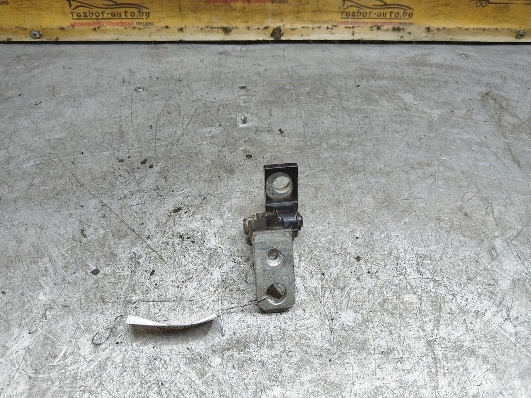 Петля двери передней левой C5WM8P Volkswagen Polo купить с доставкой