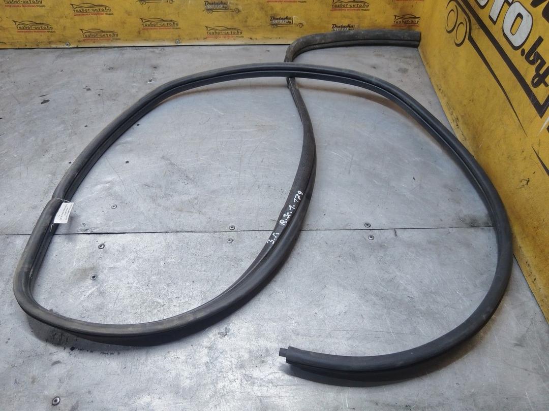 Уплотнитель двери задней левой 34BFXJ Renault Scenic