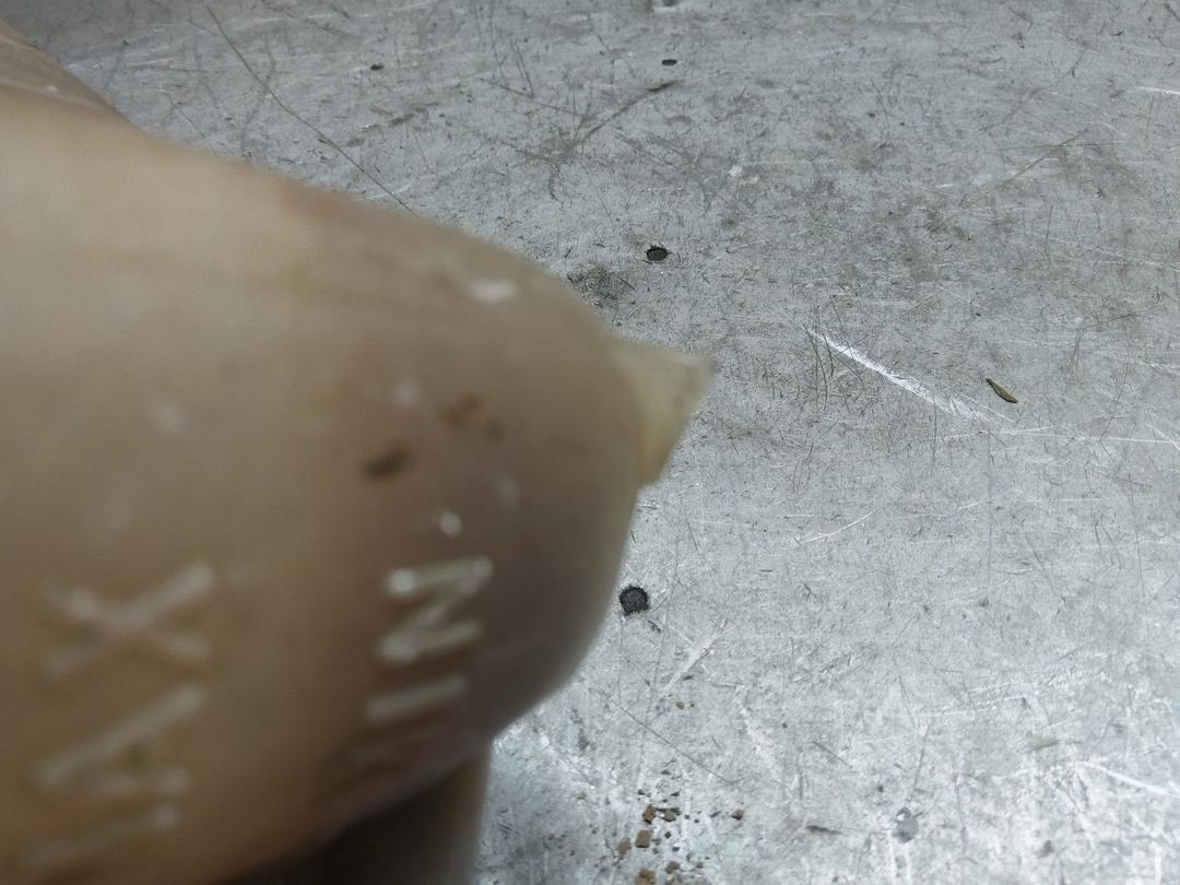 Бачок расширительный L9ISLZ Ford Fiesta купить с доставкой