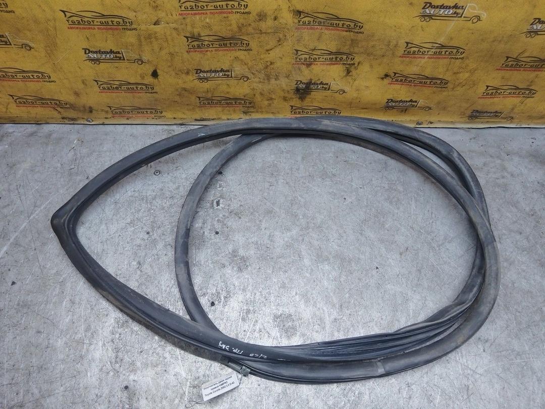 Уплотнитель двери задней правой K6BPRD Toyota Corolla