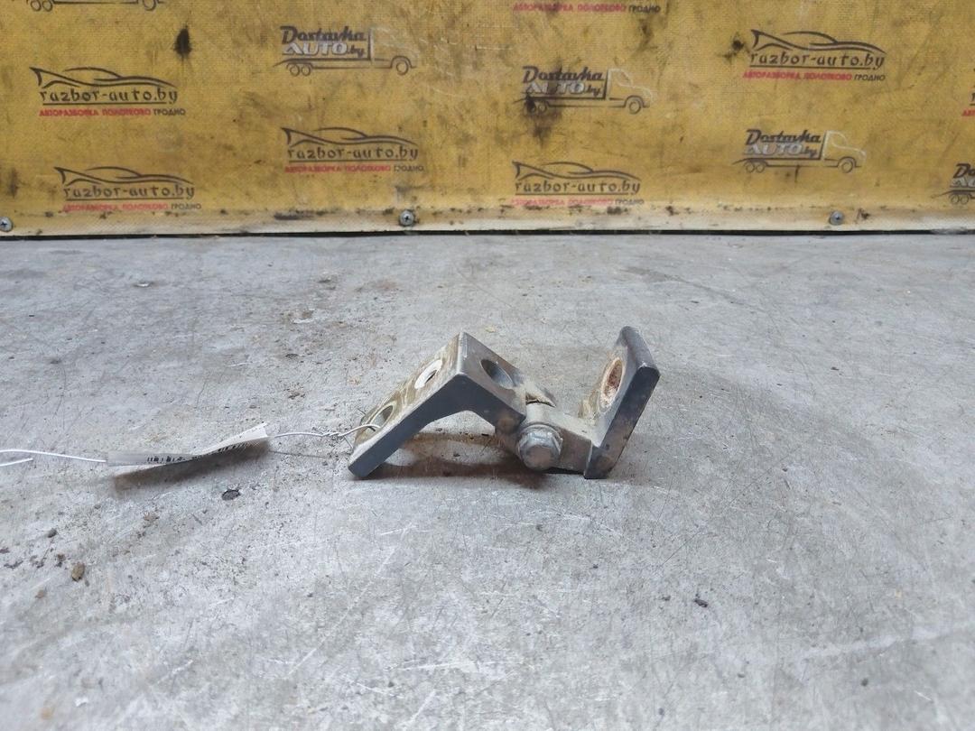 Петля двери задней левой DFZ4M4 Skoda Fabia