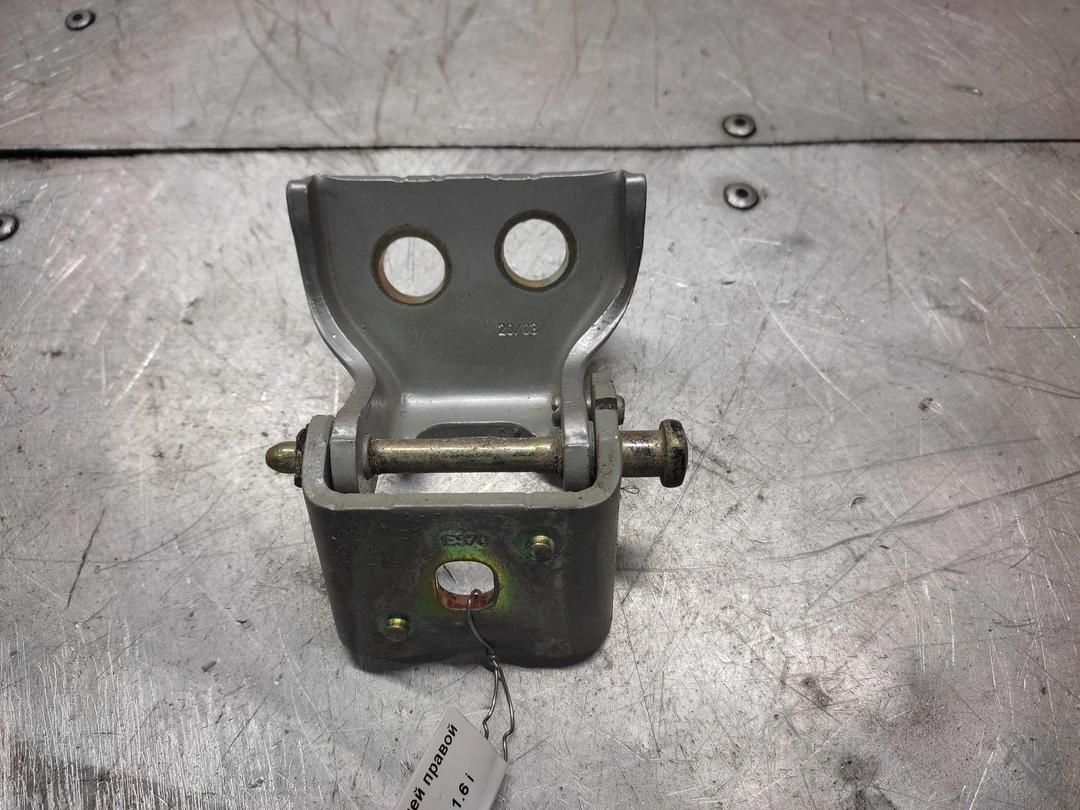 Петля двери задней левой PIC56M Peugeot 307 - Фото 1