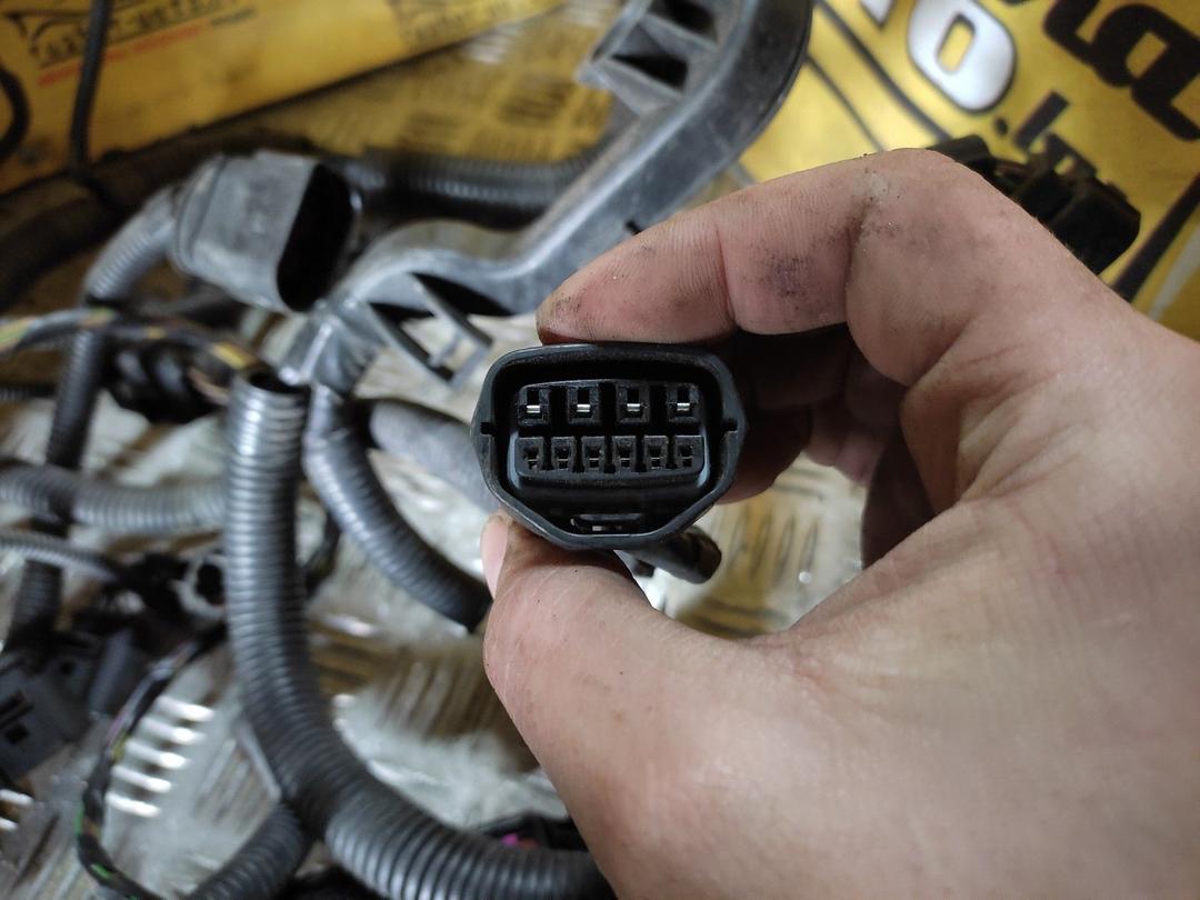 Проводка двигателя H5HE6A Volkswagen Polo купить с доставкой. Огромный выбор запчастей и марок авто. У нас есть практически все.