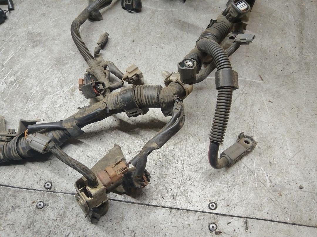 Проводка двигателя 2EYXG2 Toyota Corolla купить на авторазборке