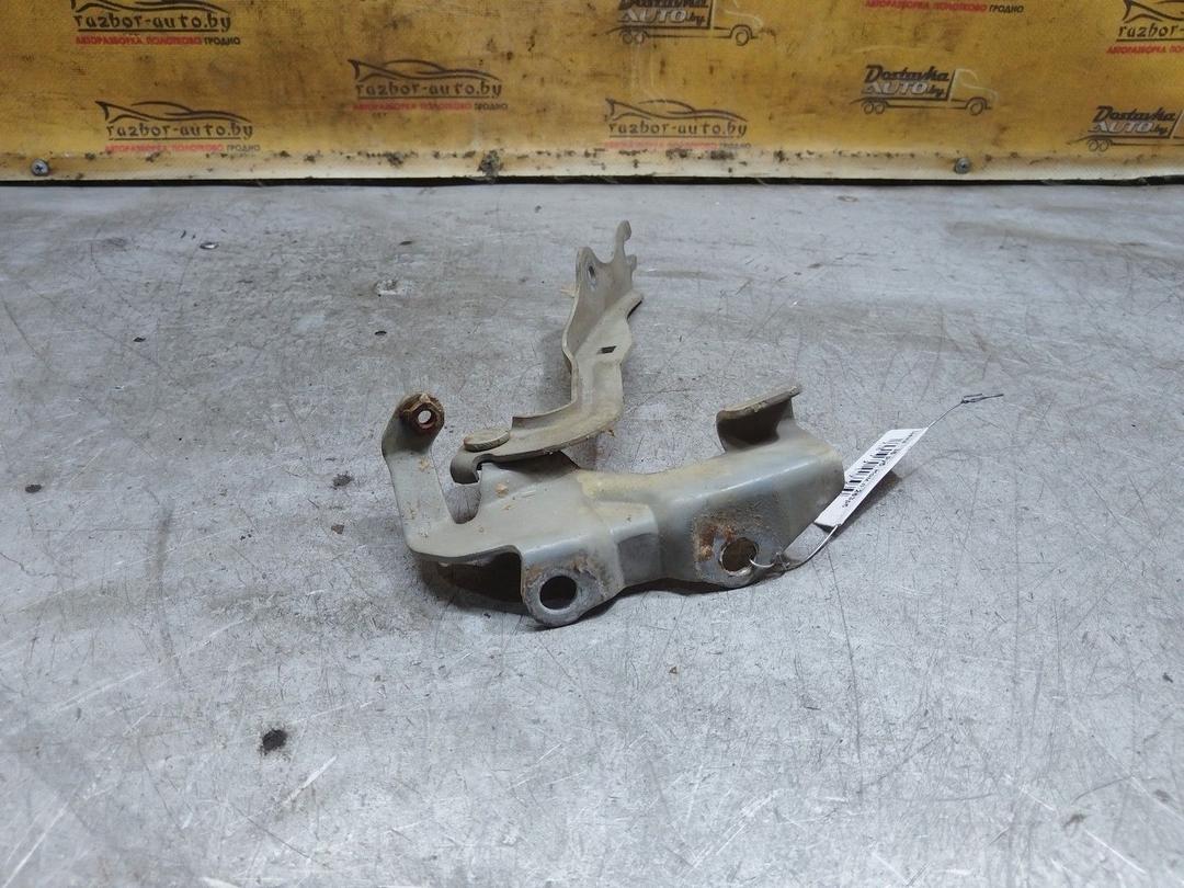 Петля капота MN19LX Mazda 3 купить с доставкой