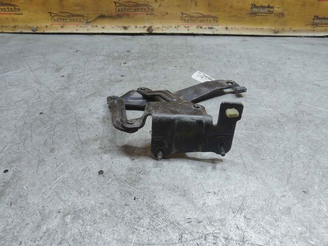 Петля капота левая BLMA0T Renault Scenic купить с доставкой