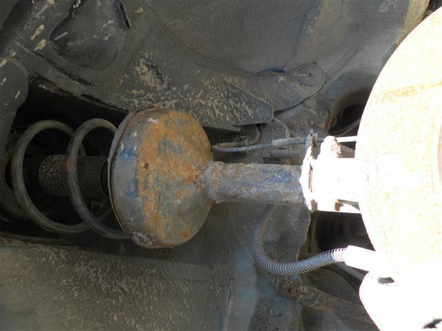 Пружина передняя C9DE9C купить