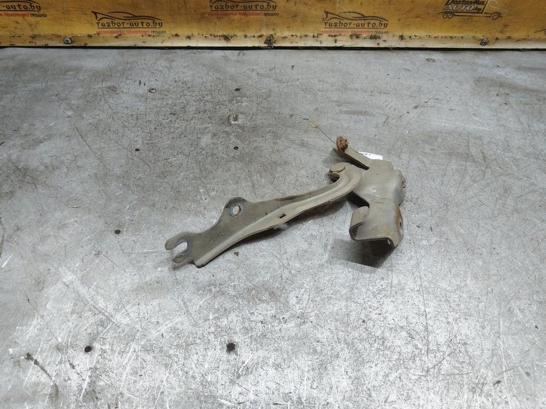Петля капота MN19LX Mazda 3 купить на авторазборке