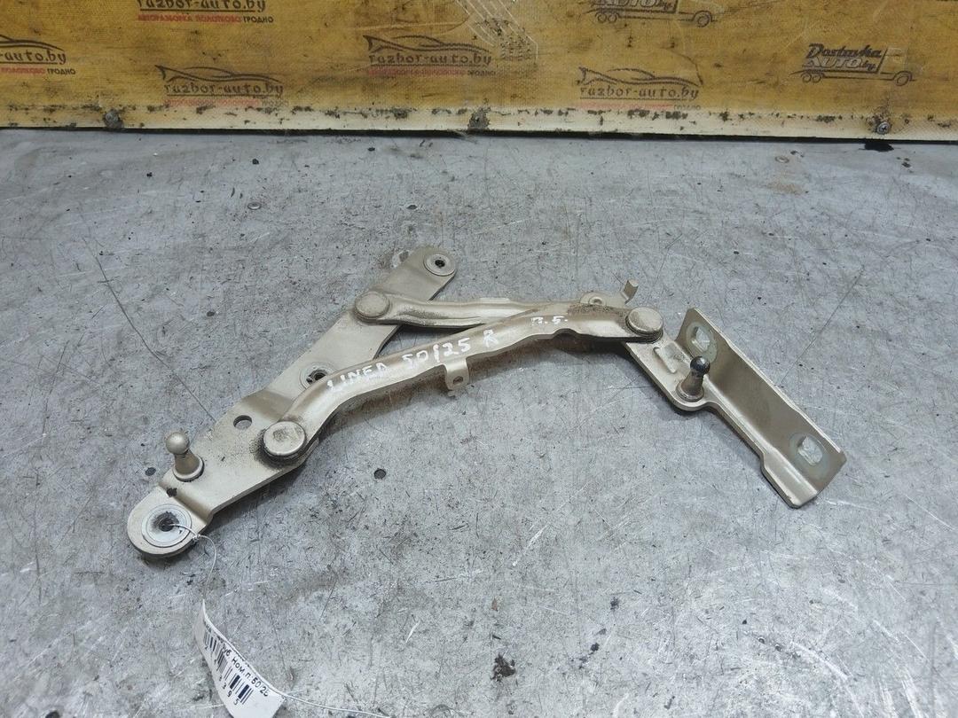 Петля крышки багажника 6QDHT9 Fiat Linea - Фото 3