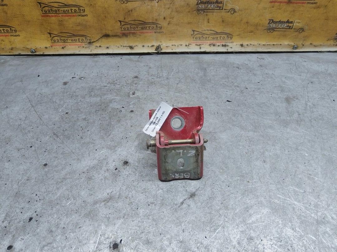 Петля двери задней левой OEVH2E Citroen C3 купить с доставкой