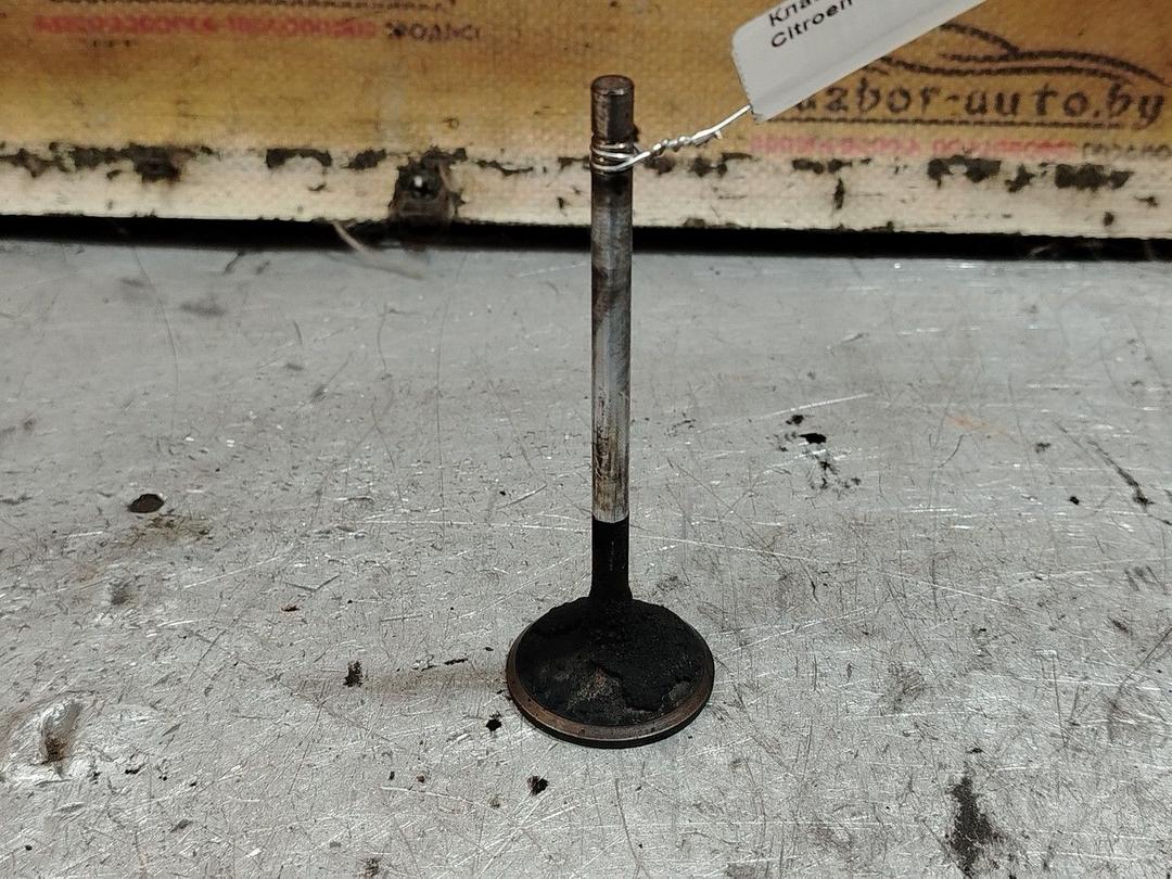 Клапан впускной 82LUGO Citroen Xantia - Фото 1