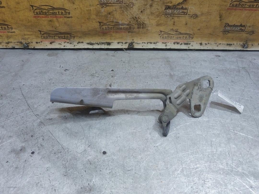 Петля капота правая SOC93A Citroen Xsara Picasso - Фото 1