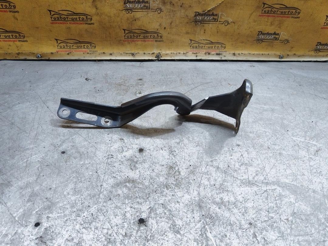 Петля капота левая G701FJ Honda Accord купить