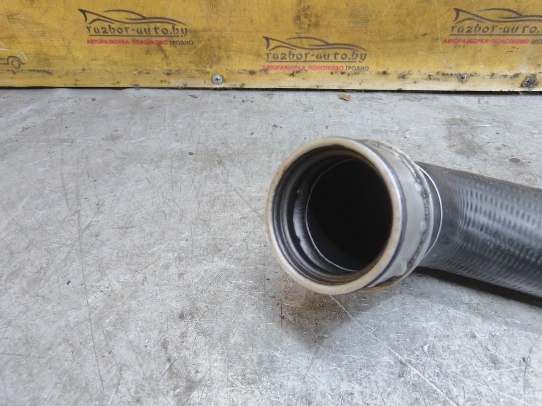 Патрубок интеркулера ZJ6W1R Volkswagen Passat купить