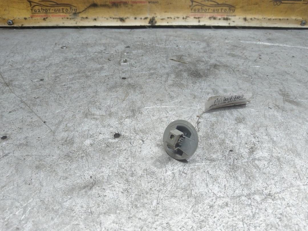 Крепление (крючок) солнцезащитного козырька 181D93 Renault Scenic купить с доставкой