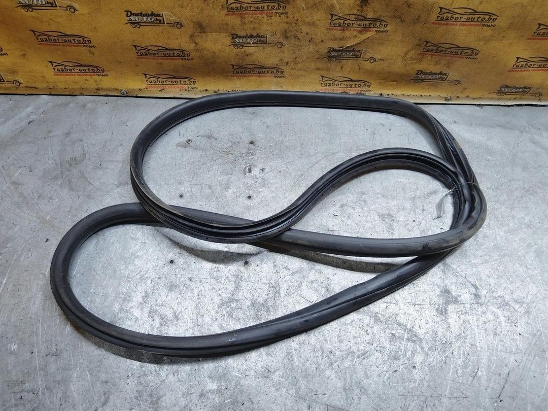 Уплотнитель двери задней левой WGU26S Honda Accord купить с доставкой