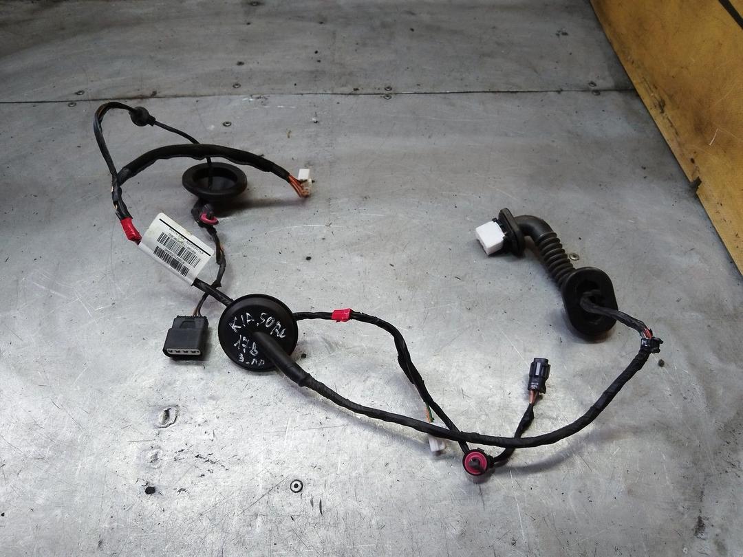 Проводка двери задней правой 9220EG Kia Sorento - Фото 1