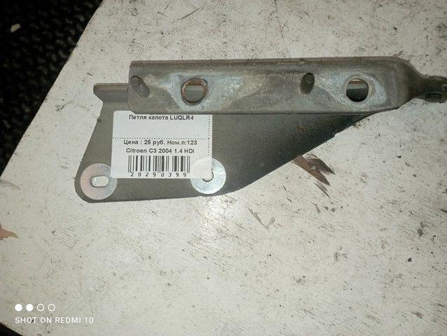 Петля капота LUQLR4 Citroen C3 - Фото 4