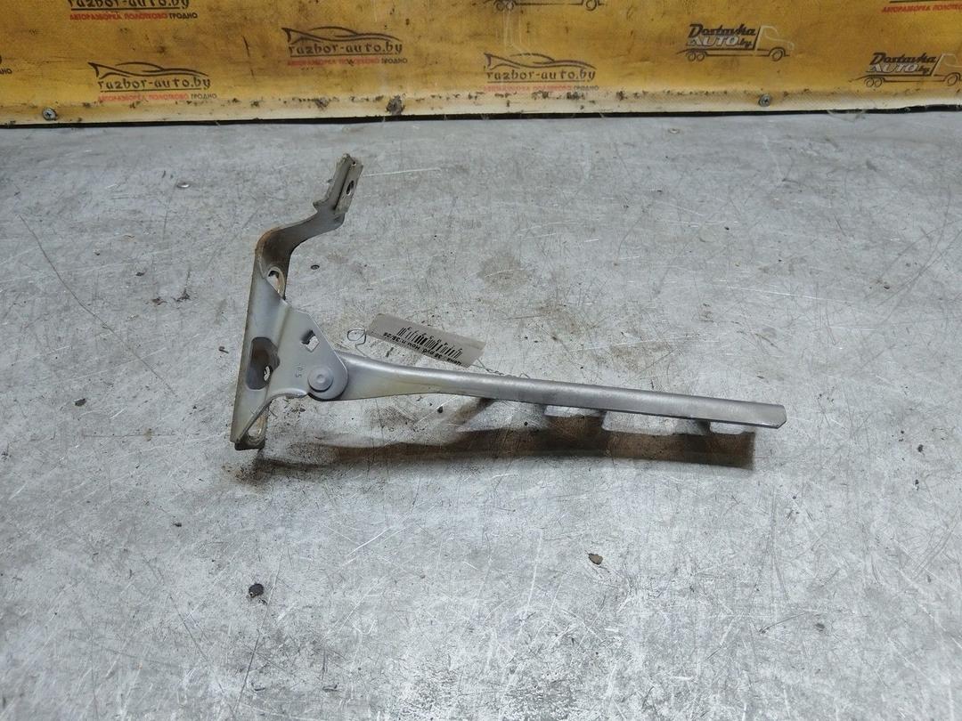 Петля капота левая 4HWO9J Opel Zafira купить с доставкой