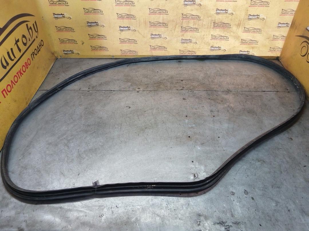 Уплотнитель двери задней левой 6ROSZL Renault Scenic - Фото 1