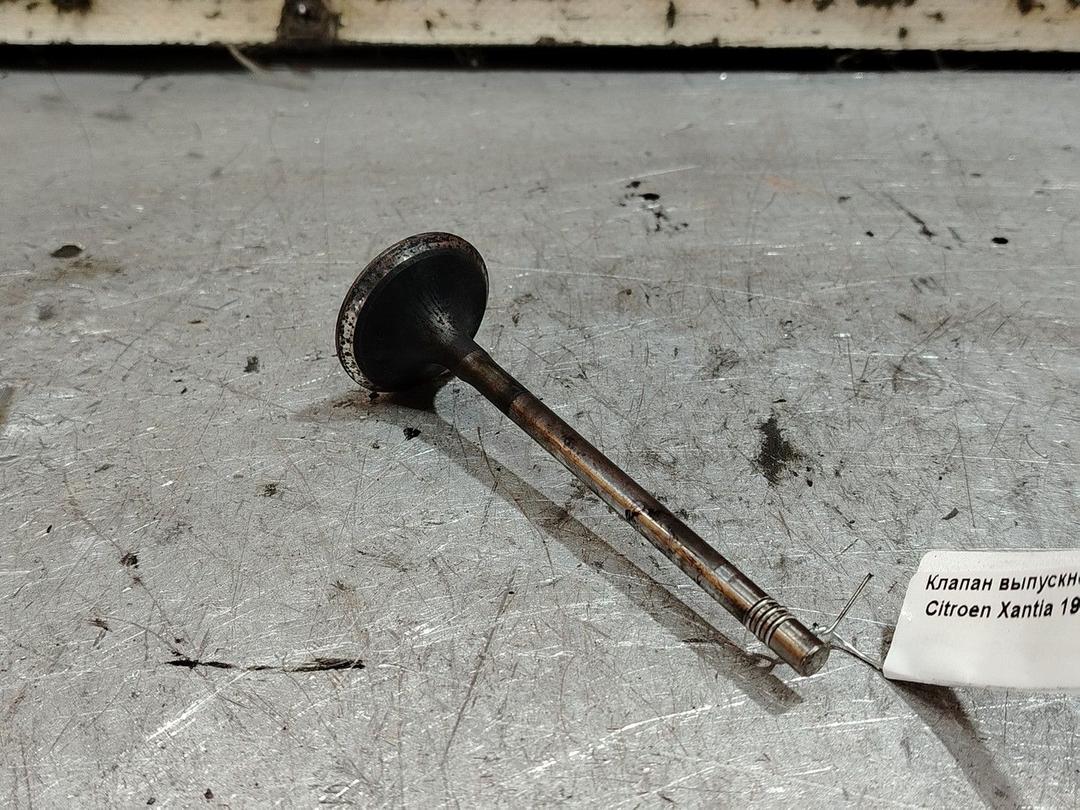 Клапан выпускной RHYGCF Citroen Xantia - Фото 3
