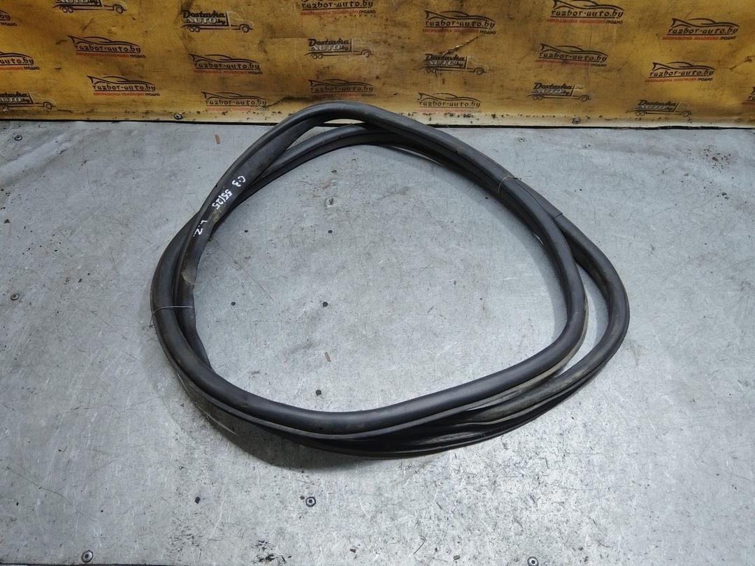 Уплотнитель двери задней левой DMTPWT Citroen C3 купить с доставкой