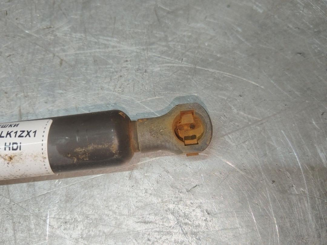 Амортизатор крышки багажника (3-5 двери) LK1ZX1 Peugeot 307 купить