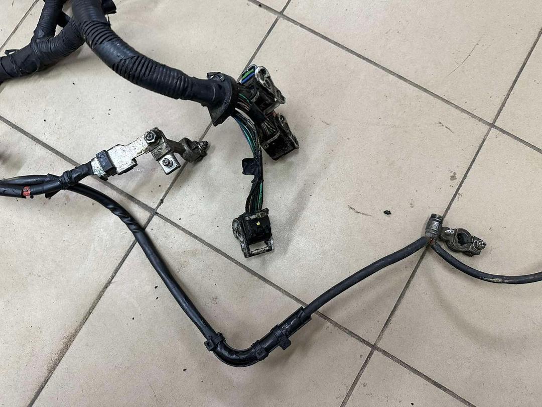 Проводка двигателя NVS8JU Ford Focus купить на авторазборке