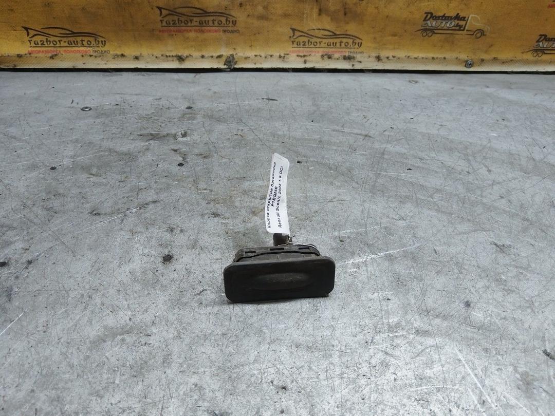 Кнопка открытия багажника P1EQME Renault Scenic