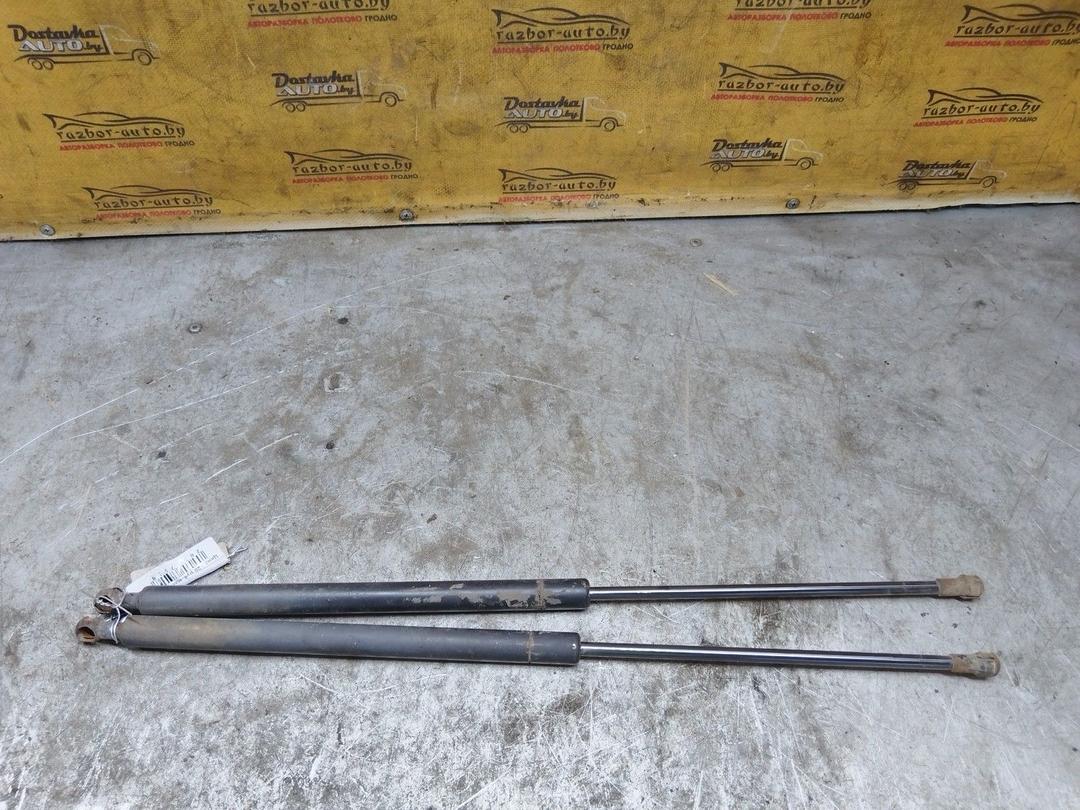 Амортизатор крышки багажника (3-5 двери) ZP3WR0 Fiat Palio - Фото 6