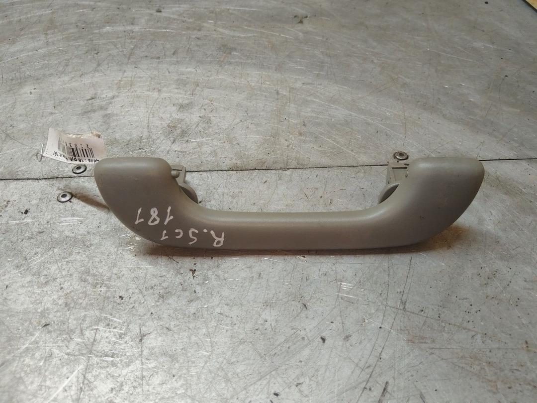 Ручка внутренняя потолочная YZJ10V Renault Scenic - Фото 1