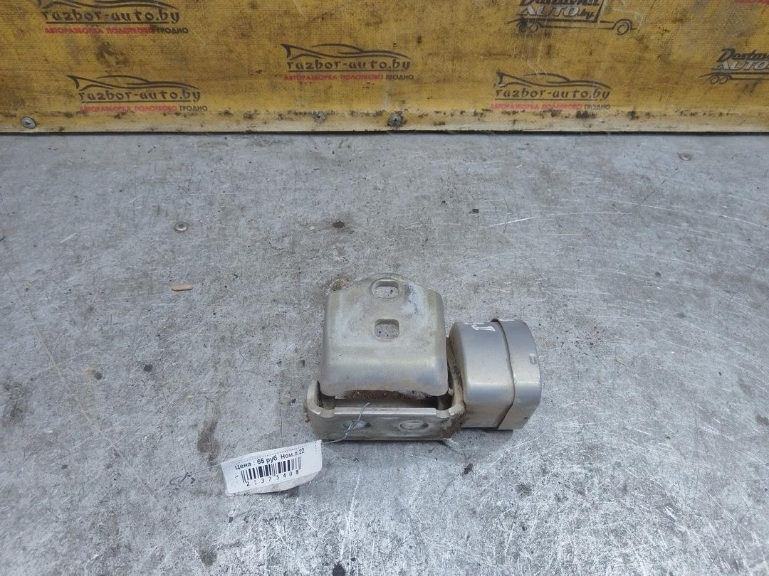 Петля двери задней правой AYU1IH Renault Megane