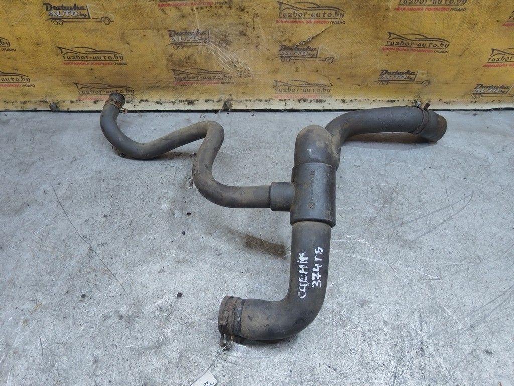 Патрубок радиатора 4Y5E1M Renault Scenic - Фото 5