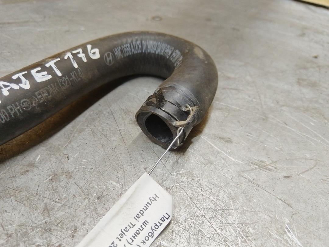 Патрубок (трубопровод, шланг) XMPVU3 Hyundai Trajet купить с доставкой