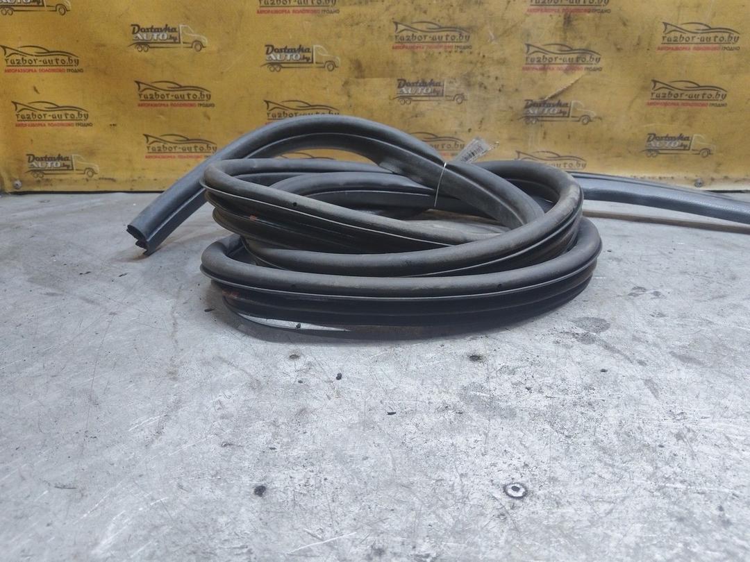 Уплотнитель двери передней левой M16RHH Ford C-Max купить с доставкой