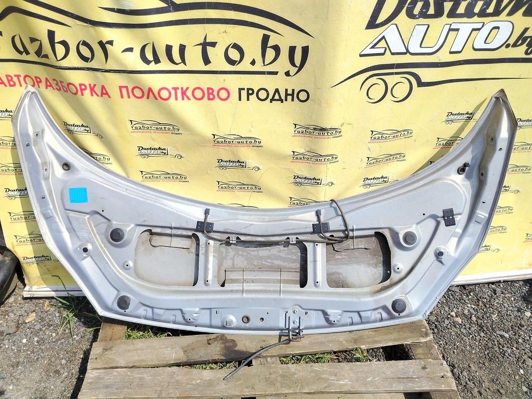 Капот OYVPD8 Renault Scenic - Фото 4