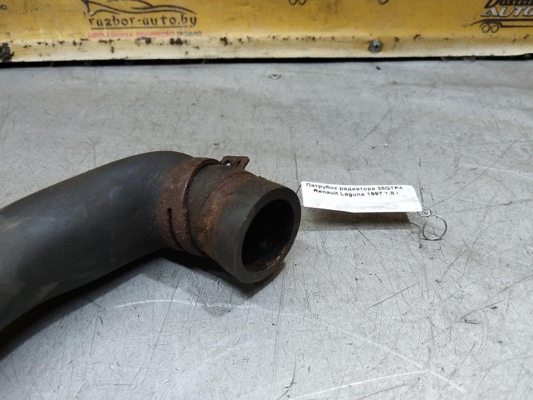Патрубок радиатора 38QTP4 Renault Laguna купить