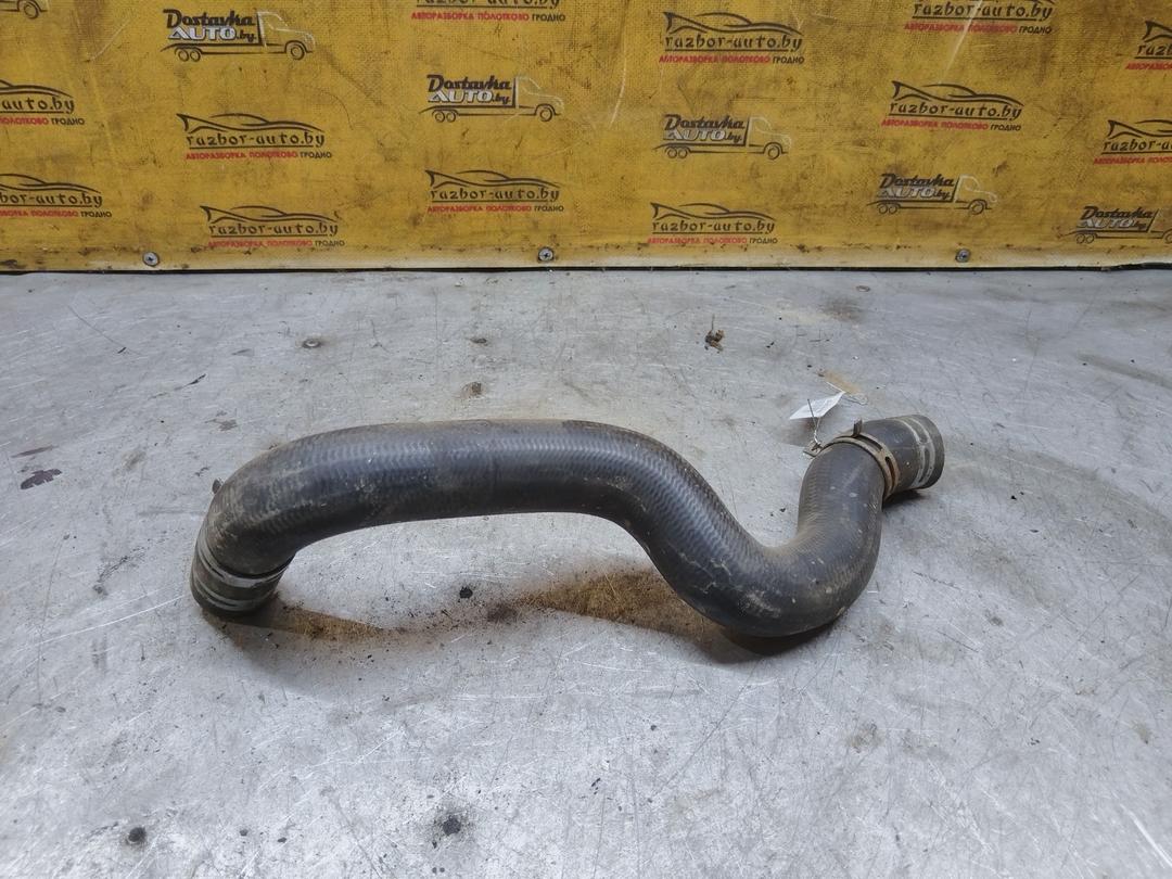 Патрубок радиатора NO4VZF Peugeot 406 - Фото 3