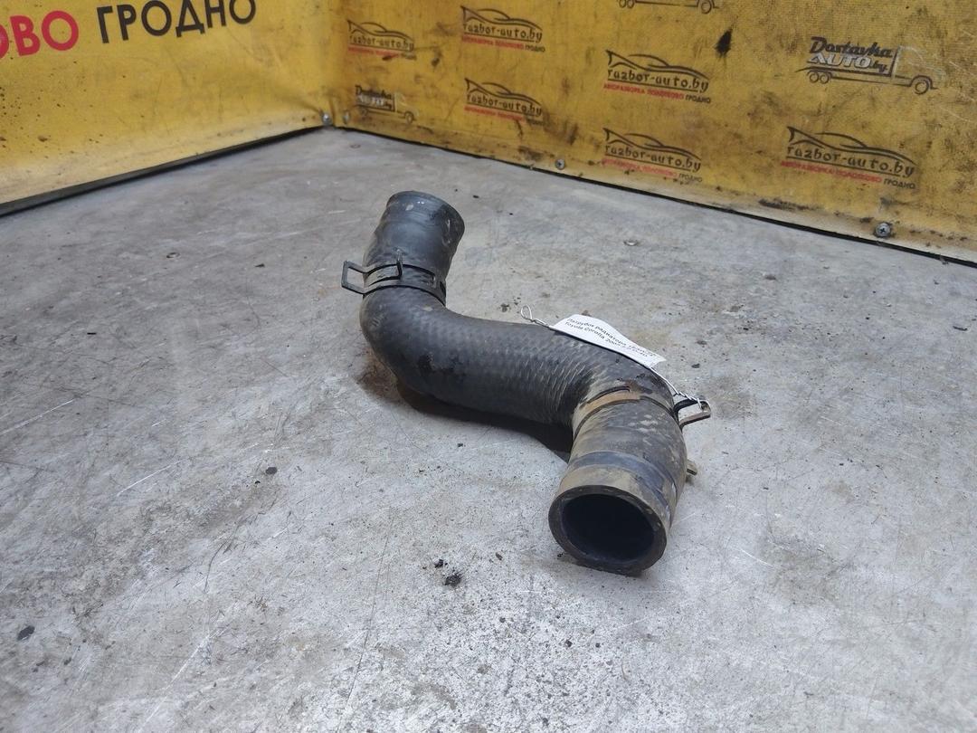 Патрубок радиатора 1EAWJ4 Toyota Corolla - Фото 3