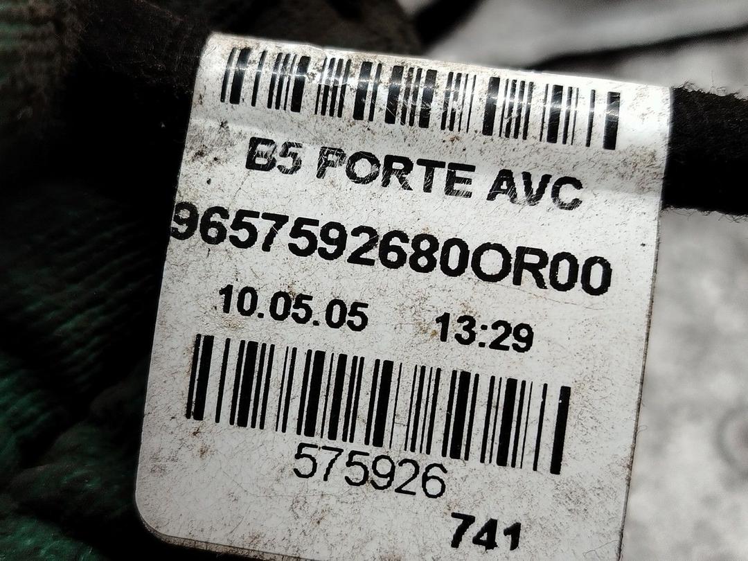 Проводка двери передней левой FR2JPE Citroen C4 - Фото 6