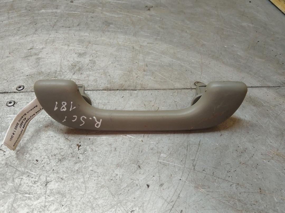 Ручка внутренняя потолочная AL430Y Renault Scenic