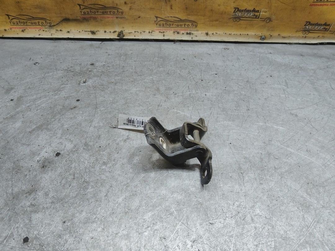 Петля двери задней левой TIZKHF Renault Scenic купить