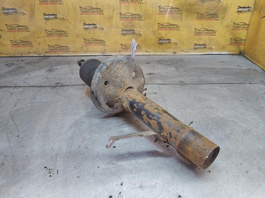 Амортизатор передний правый QZZ1S8 Volkswagen Golf купить