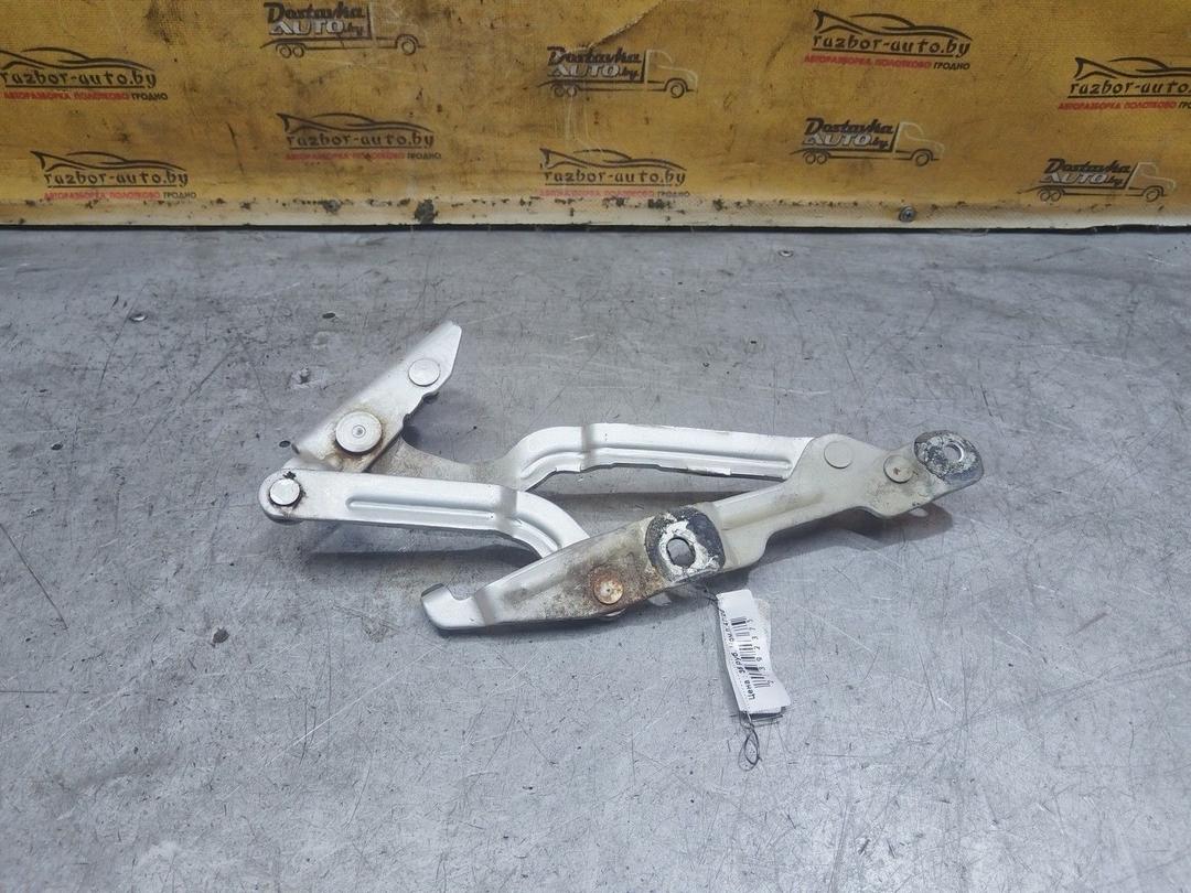 Петля крышки багажника 0358IY Volkswagen Passat купить с доставкой