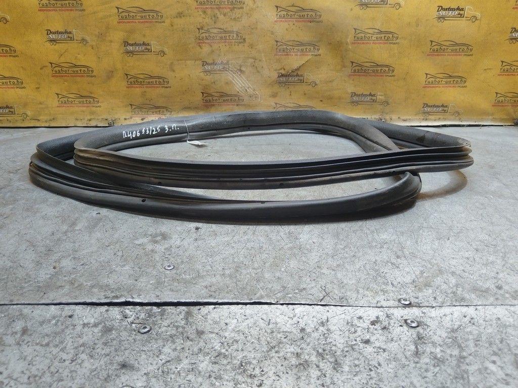 Уплотнитель двери задней правой T4EFY4 Peugeot 406 - Фото 2