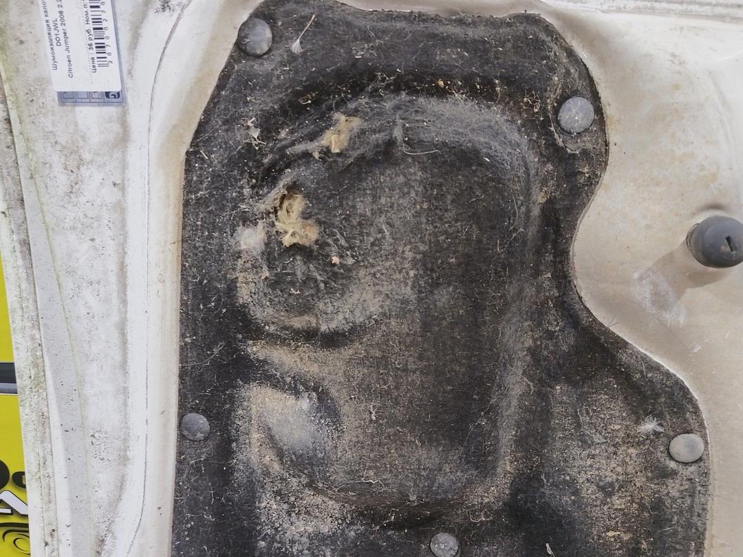 Шумоизоляция капота DO1JWL Citroen Jumper - Фото 3