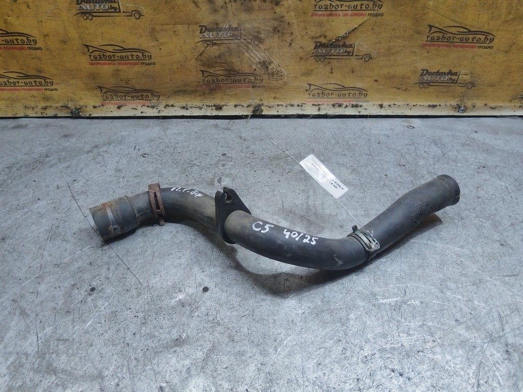 Патрубок радиатора E25BJA Citroen C5 - Фото 1