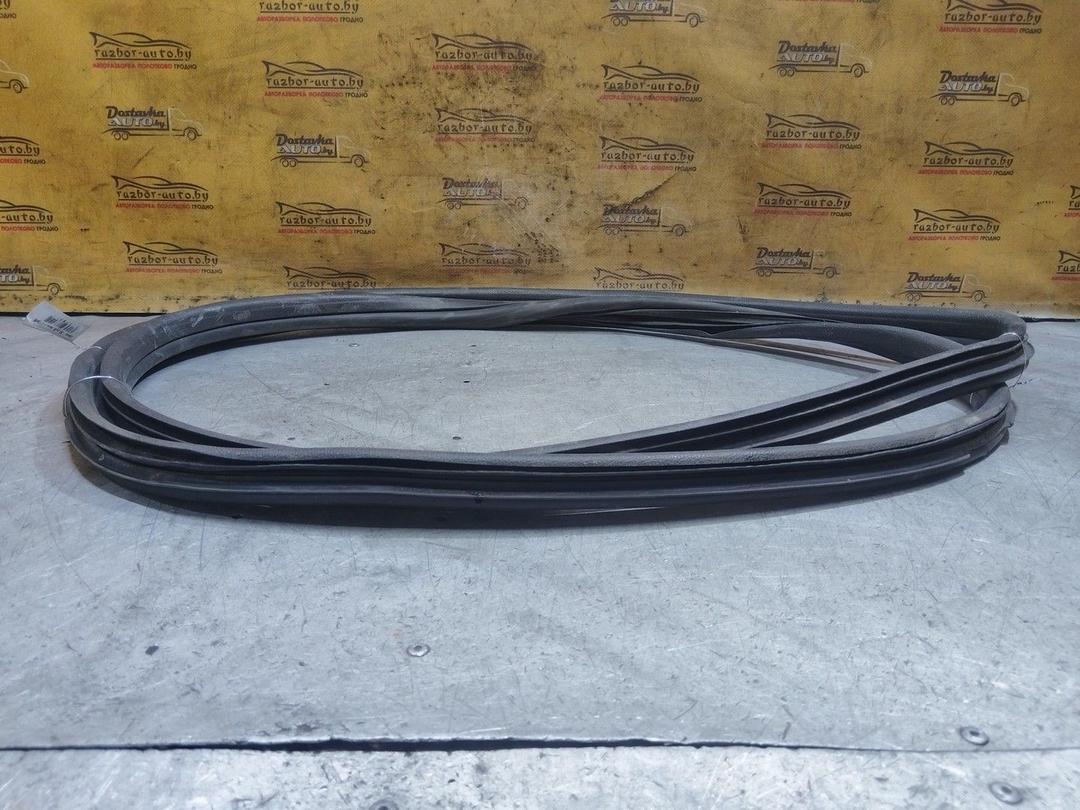 Уплотнитель двери передней левой Z6RN11 Citroen Xsara Picasso - Фото 2