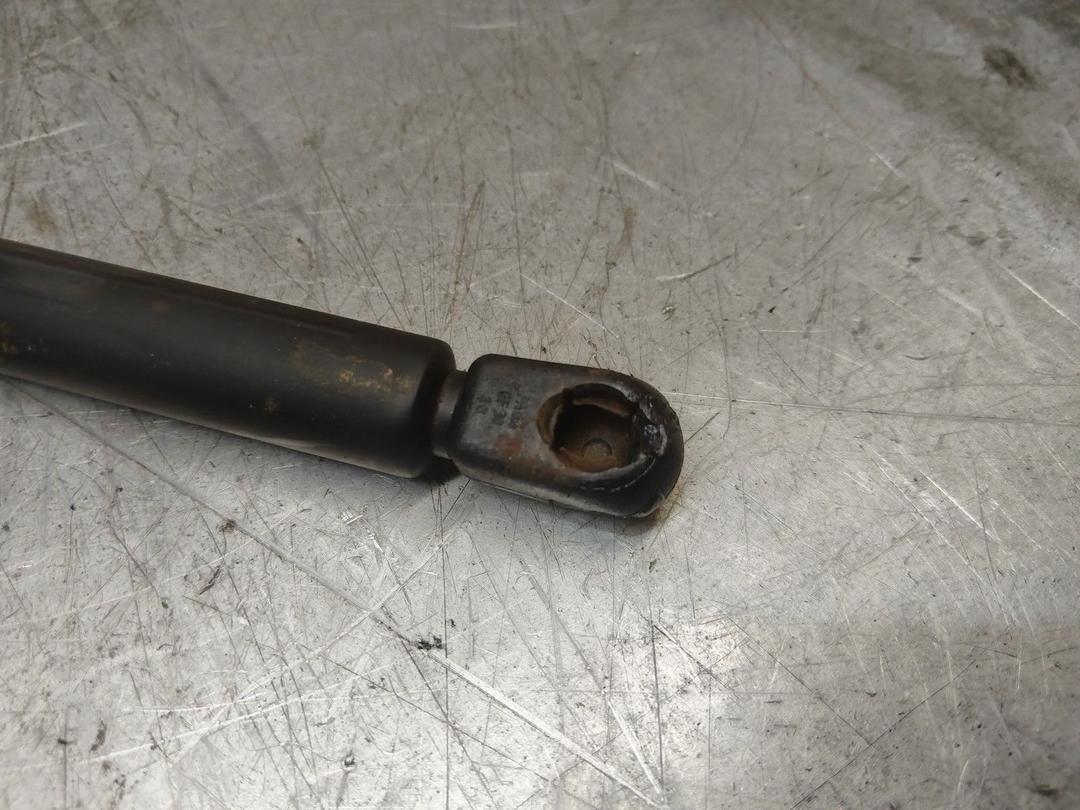 Амортизатор крышки багажника (3-5 двери) QV8WGP Peugeot 406 купить