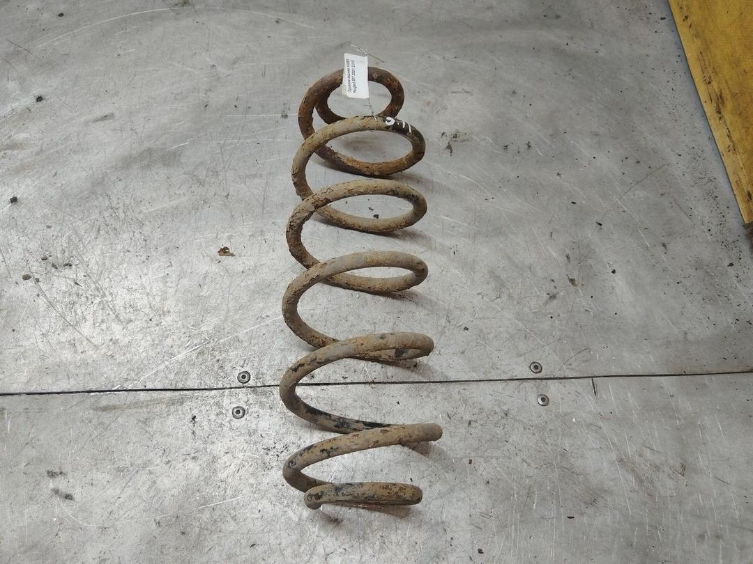 Пружина задняя A49B09 Peugeot 307 - Фото 1